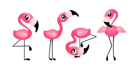 Set of cute cartoon flamingo with big eyes. Exotic baby birds isolated on white background. Flat vector illustration.
