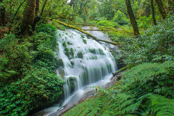 waterfall in the forest