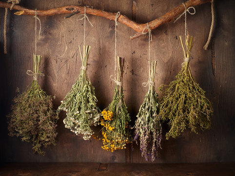Drying Medical Herbs For Use In Alternative Medicine