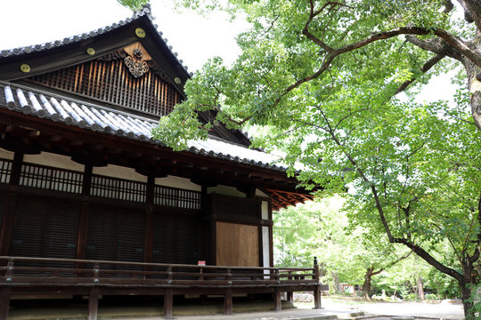 夏のお寺の境内