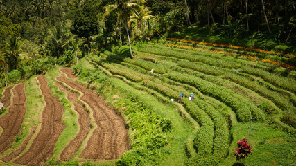 Bali Indonesien mit all seinen Facetten und Sehenswürdigkeiten Tempel und Wasserfall