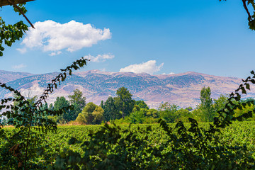 Overlooking the magical Bekaa Valley