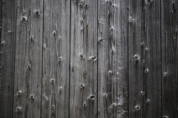 Fototapeta premium 素材