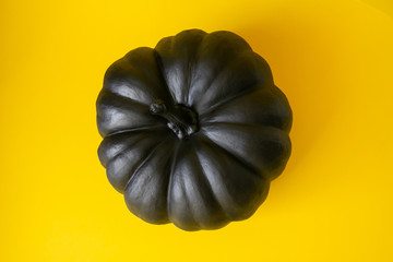 halloween black pumpkin on the yellow background