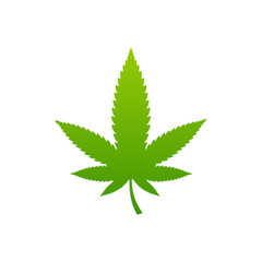 Cannabis leaf isolated on white background
