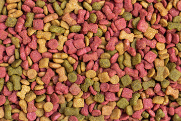 detail of dry dog food background