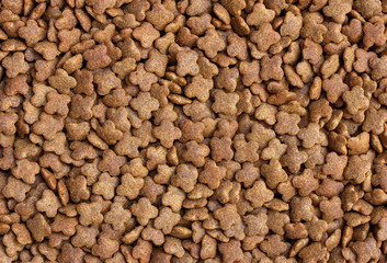 detail of dry dog food background