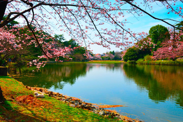 湖