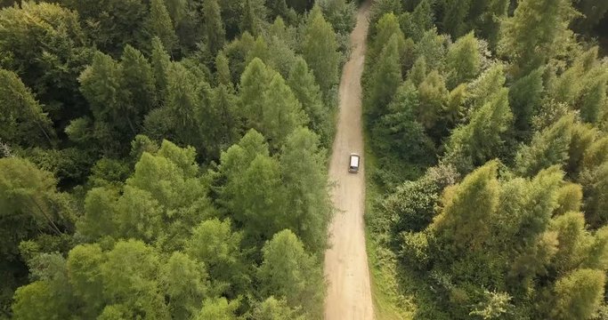 Aerial view of car driving on country road in forest and mountains. Car driving along