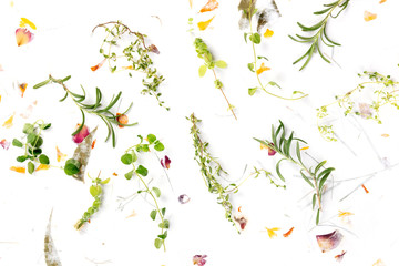 The herbs of Provence. Rosemary, oregano, thyme, and marjoram, shot from above on a background of...