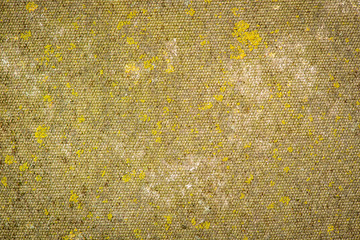 lichen on the cloth - textures and backgrounds