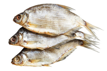 ram fish on a white background