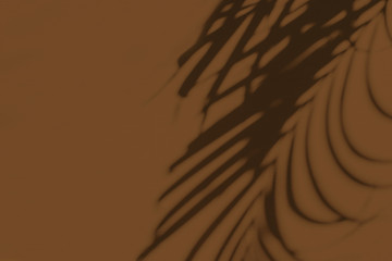 Neutral floral composition with tropical palm branch silhouette on dark brown background. Flat lay,...