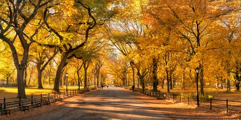 Papier Peint photo Central Park Beautiful autumn colors at the Central Park in New York City, USA
