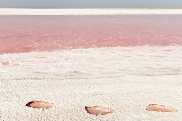Pink lake with salt. Incredible landscape of a lake with pink water, traces in salt on the shore.