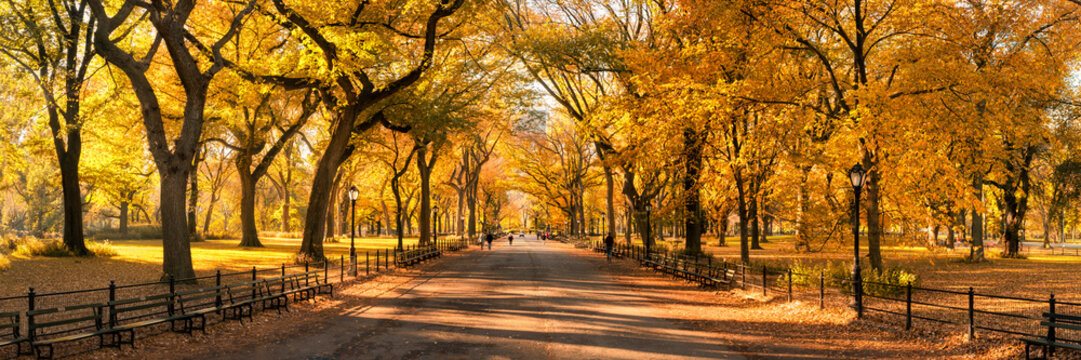 Central Park panorama in autumn, New York City, USA