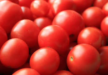 Red tomatoes close-up. Suitable for background.