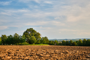 Obraz premium Brown field by trees at the edge of Prague