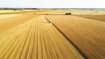 Aerial view Combine Harvester gathers the wheat at sunset. Harvesting grain field, crop season. Beautiful natural aerial landscape. Food industry concept.