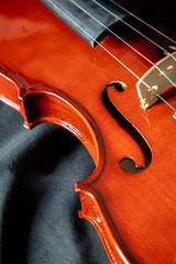 violin on black background