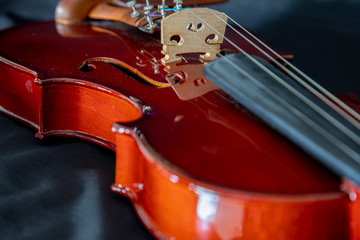 Fototapeta premium violin on black background