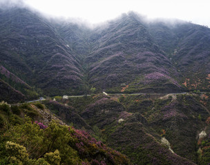 Mountain Road crosses the Purple Heather covered Peaks