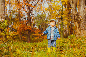 Little curious boy in check shirt on a walk in autumn park