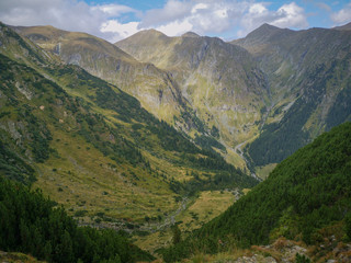 Mountain landscape with empty mountains in the distance and mountain vegetation in the foreground, Fagaras, Romania