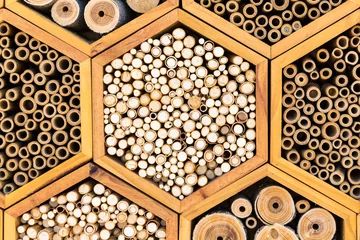 Photo sur Plexiglas Abeille Geometric patterns bee hotel habitats with hollow tubes
