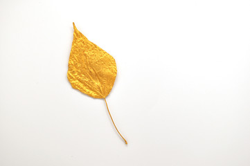 Golden isolated autumn leaf of a tree on a white background. Decoration element for card, invantion, wedding