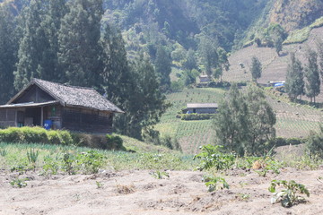 The Atmosphere at Seruni Point in Bromo Tengger Semeru National Park, East Java, Indonesia