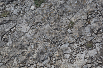 Felsen / Nahaufnahme