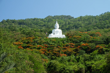 Large white Buddha statue on a mountain with green trees In Korat province, an important tourist destination in Thailand.