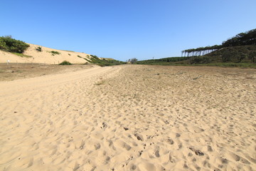 Fototapeta na wymiar Surf Landak