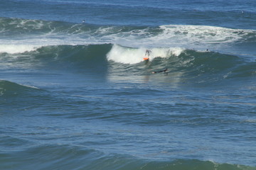Surf Landak