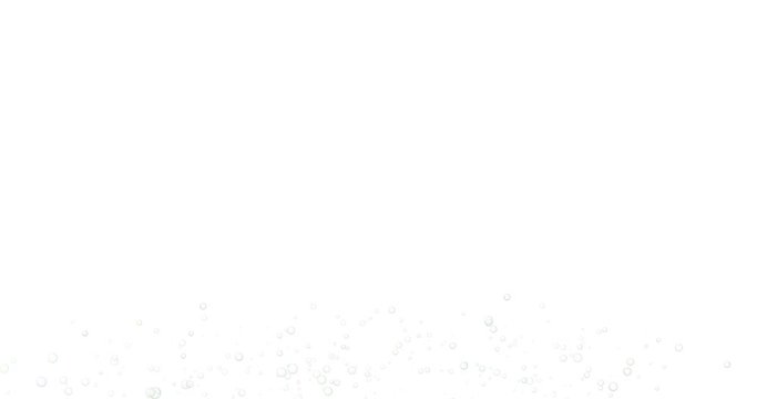 Soap bubbles fly into the air.