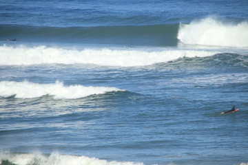 Surf Landak