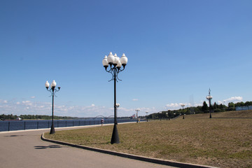 Beautiful lights on the background of fluffy larch.