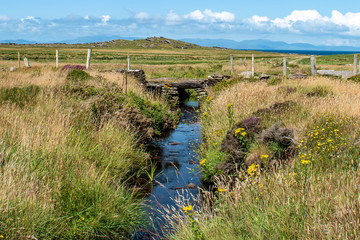 Old Bridge Over Creek