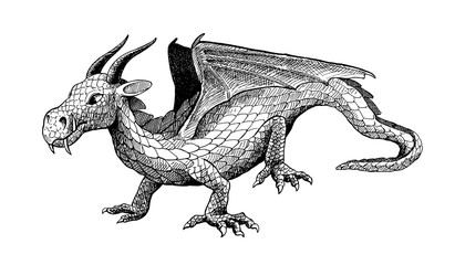dragon with wings, old fashioned hand drawn illustration