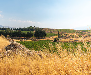 Overlooking the magical Bekaa Valley