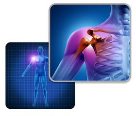 Human Shoulder Joint Pain