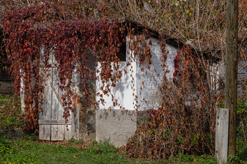 Outhouse from the past, toilet in the courtyard of the pub