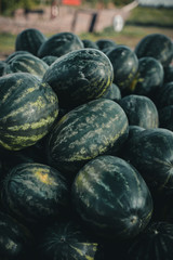 Watermelons