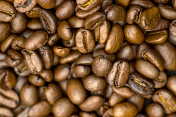 roasted coffee beans photographed close-up
