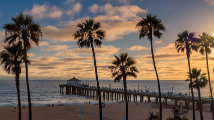 Palm trees at sunset on the California beach. Manhattan beach, los Angeles. - obrazy, fototapety, plakaty