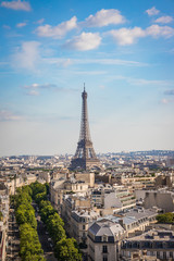 Fototapeta na wymiar Paris skyline with the Eiffel tower on a sunny day