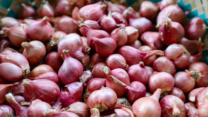 lots of red onions and still looks fresh at close range