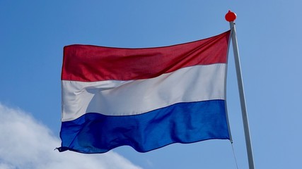 Naklejka na ściany i meble Niederländische Flagge im Wind