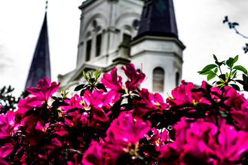 flowers in front of cathedral